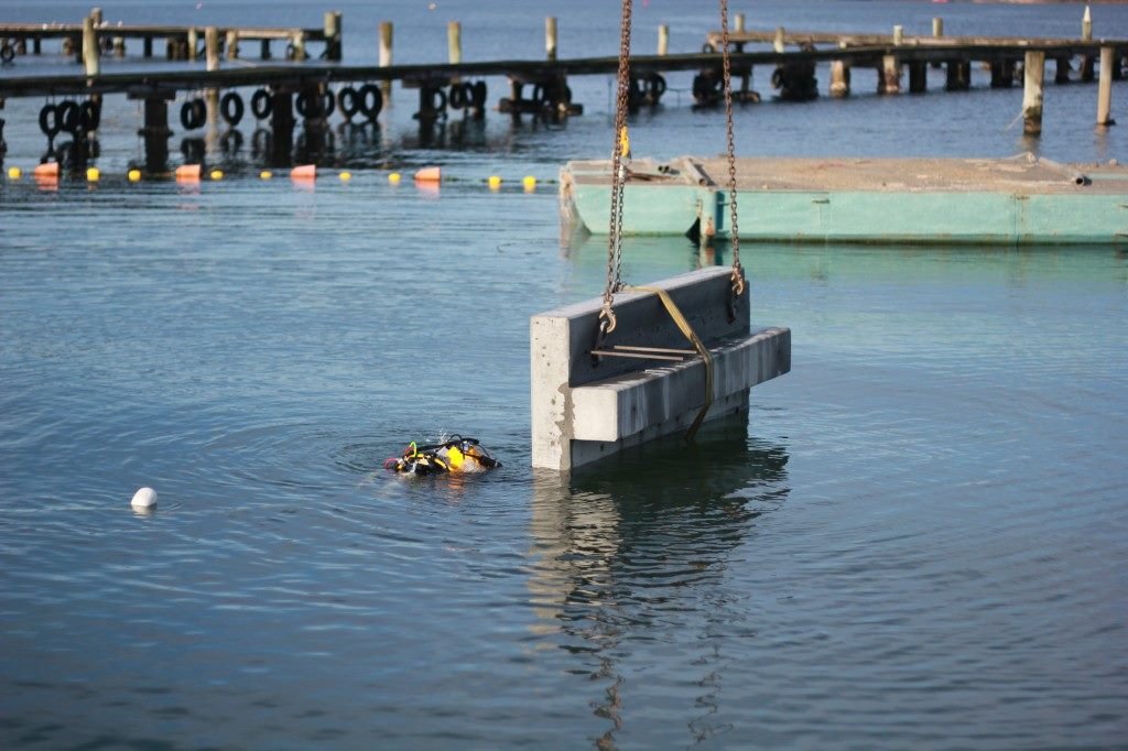 In-water work